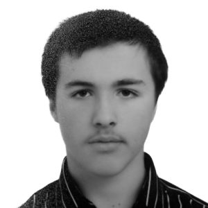 Севостьянов Микола Анатолійович